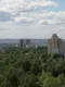 Мила
