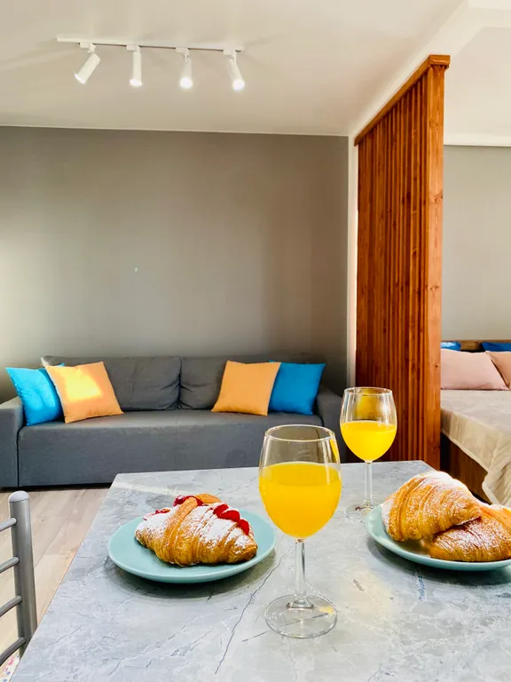 Апартаменты с видом на Дон и стадион Ростов Арена