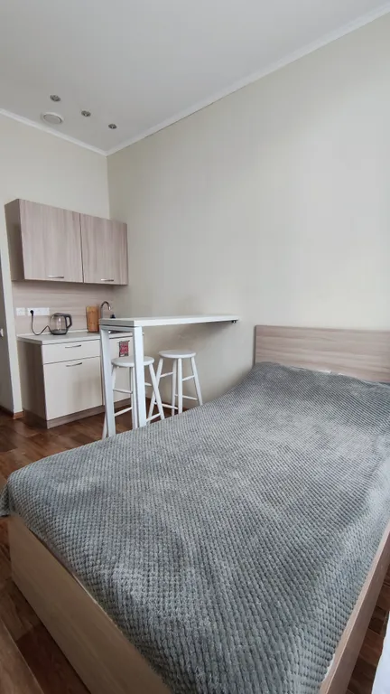 Квартира-студия с идеальным месторасположением — аренда посуточно в Красноярск