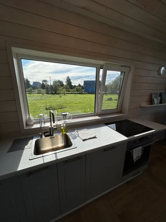 Дача у Цапли