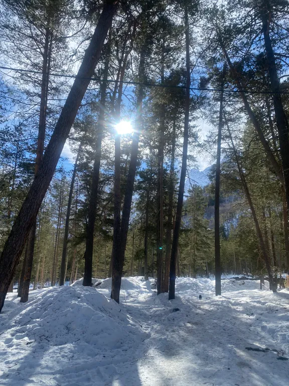 Апартаменты в 5 минутах от подъемников