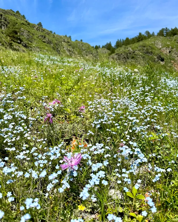 Студия на последнем этаже двухэтажного гостевого дома