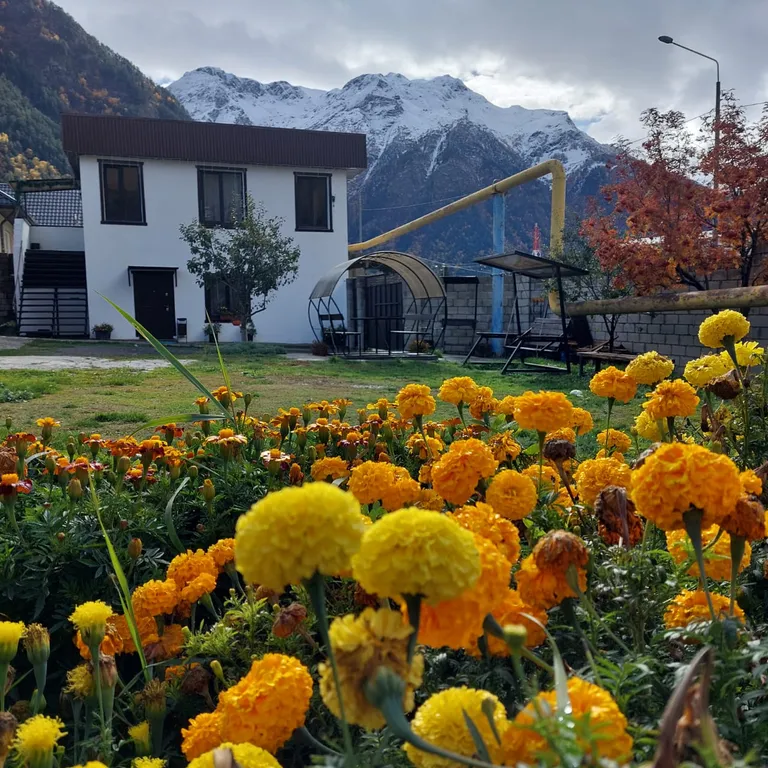 Гостевой дом в Эльбрусе