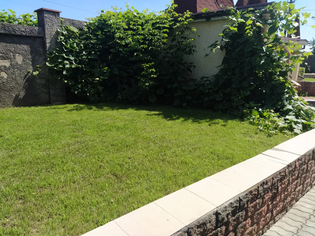 Коттедж в живописном месте