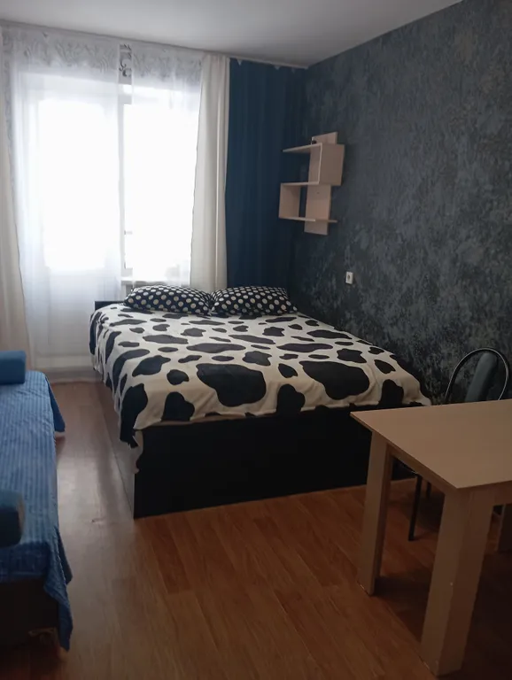 Уютная квартира на Петухова — аренда посуточно в Новосибирск