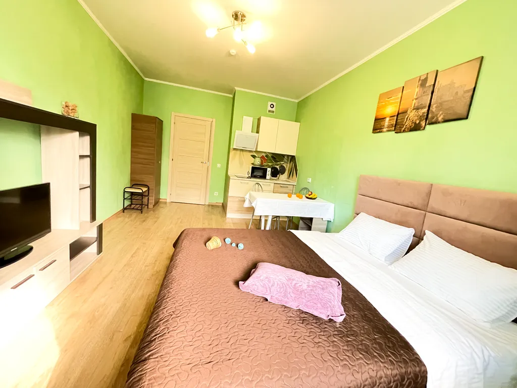 Вместительная студия в мурино