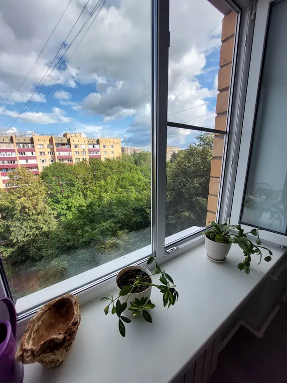 Квартира Коралл