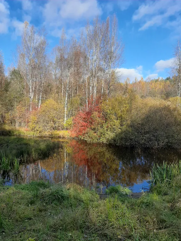 Дом на склоне холма у реки