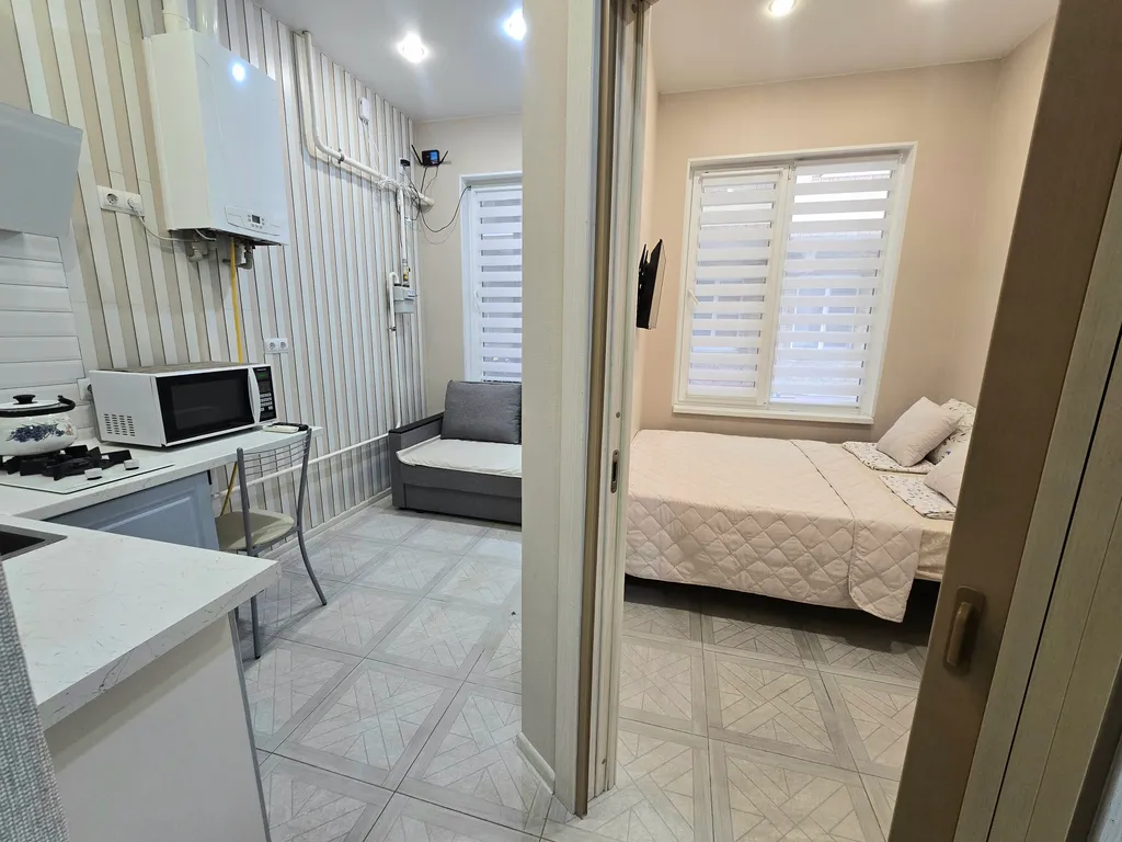 Квартира 1-комнатная Квартира — Сириус