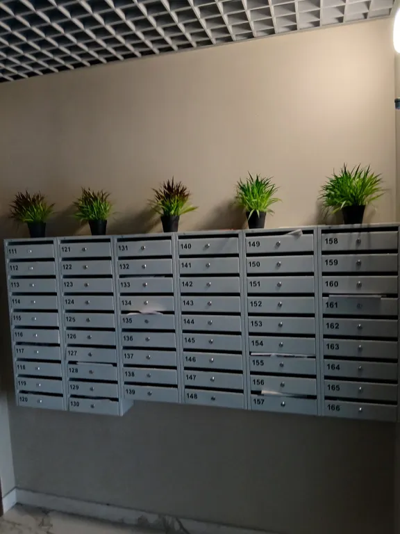 Новая студия в центре города