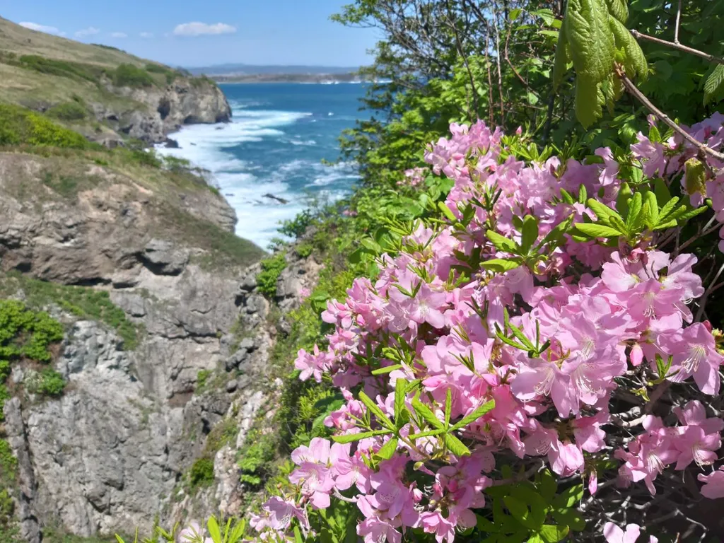 Теплый зимой, уютный летом коттедж