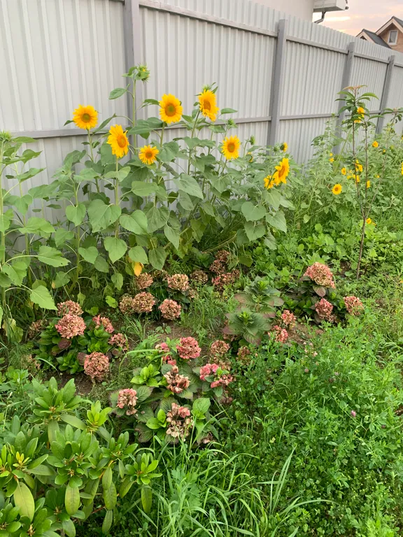 Уютный дом у леса и озера