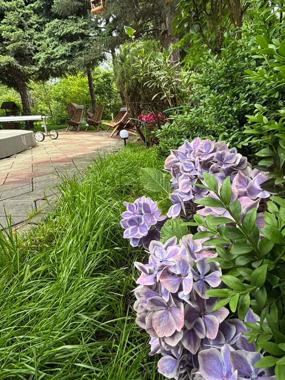 Усадьба Новознаменская