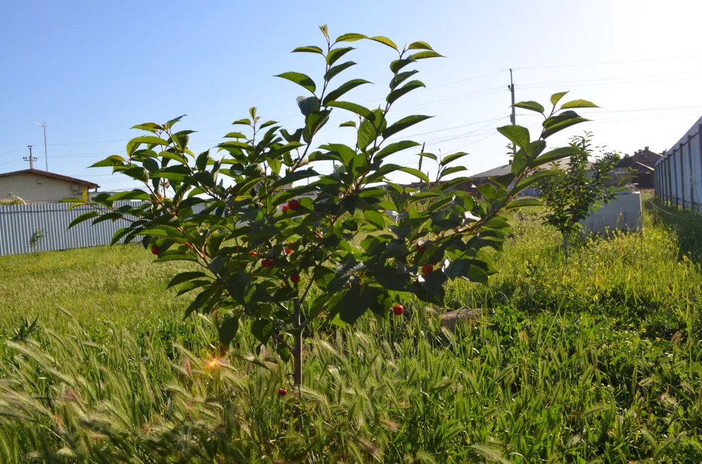 Коттедж Уютный отдельный домик в живописном поселке Волна — Волна