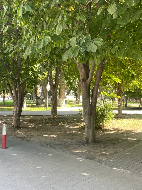 Квартира Уютная квартира в самом центре — Махачкала