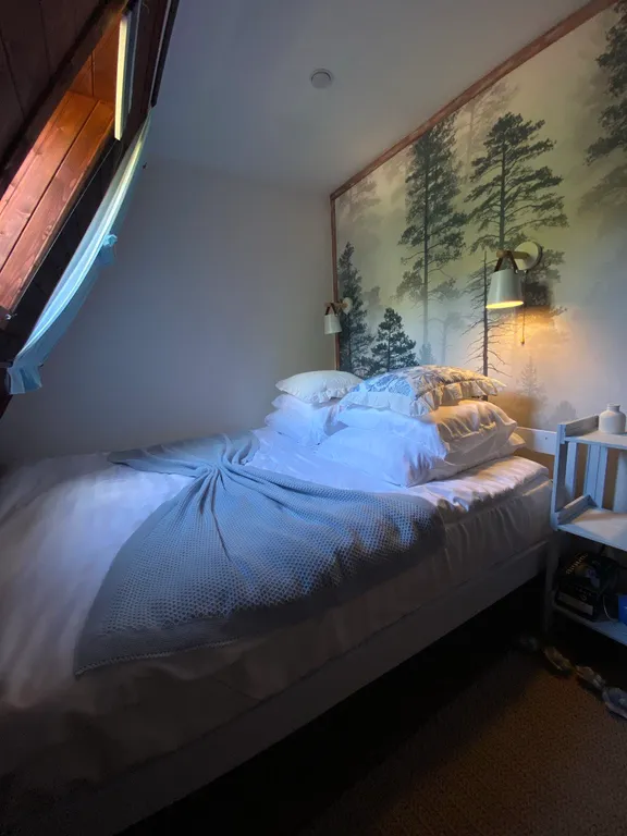 Дом с ковром