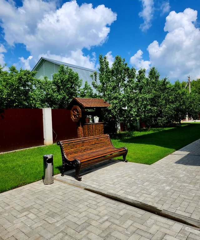 Алтайский кедр