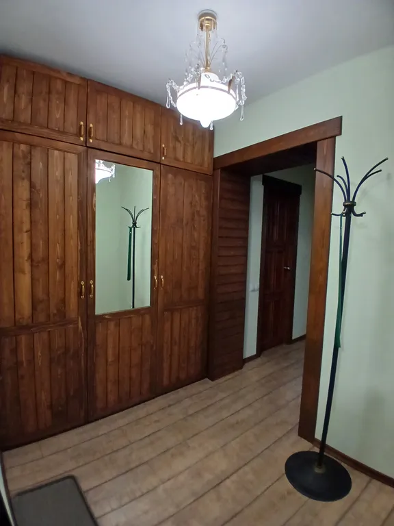 Евродвушка в центре, в новом доме, светлая, уютная