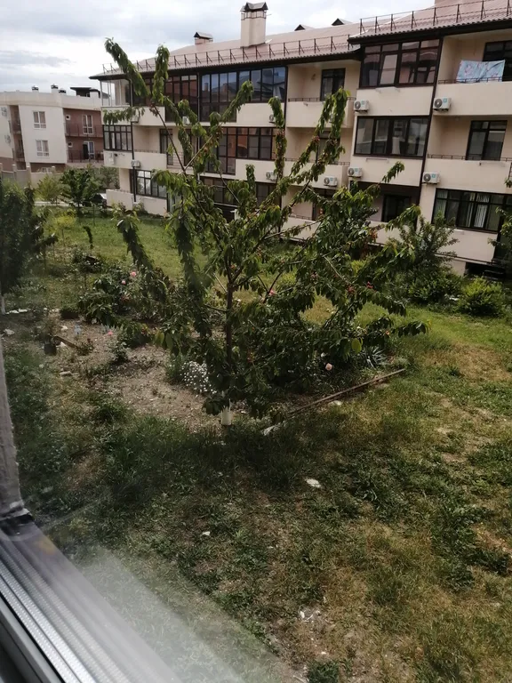 Студия у моря