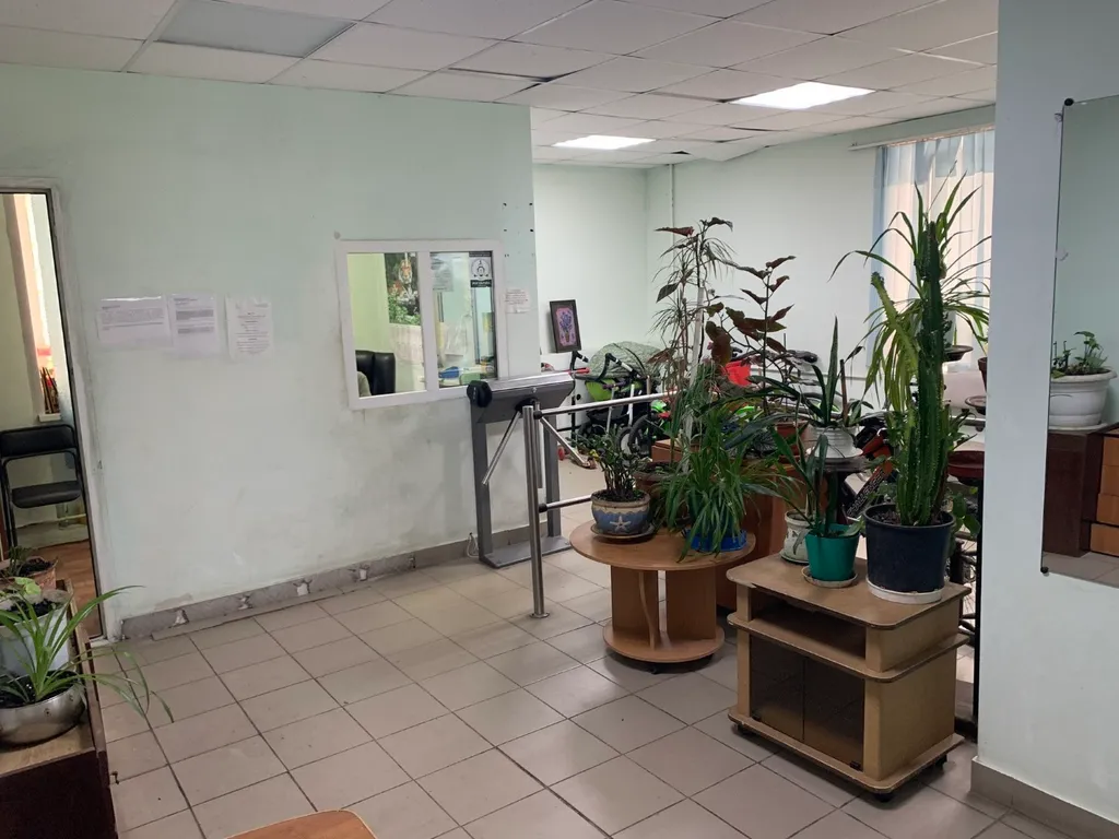 Уютная студия