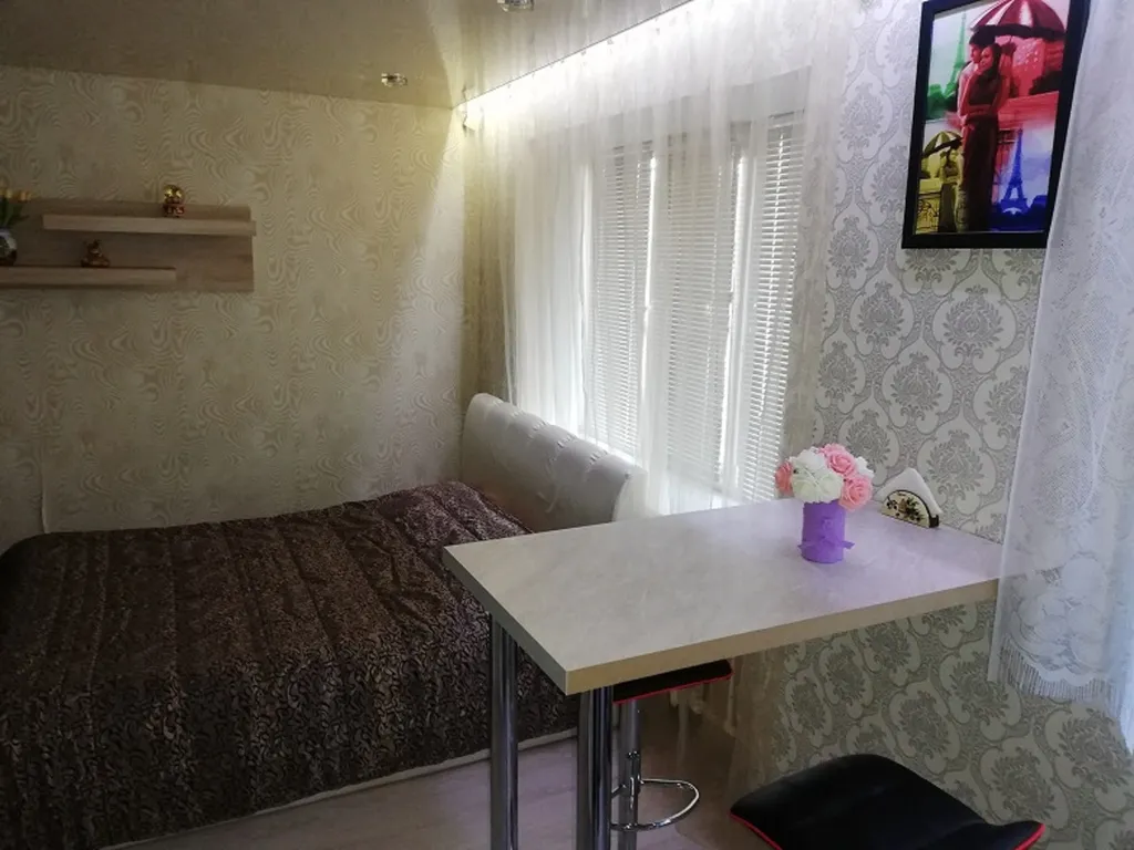 Студия в центре Борисова