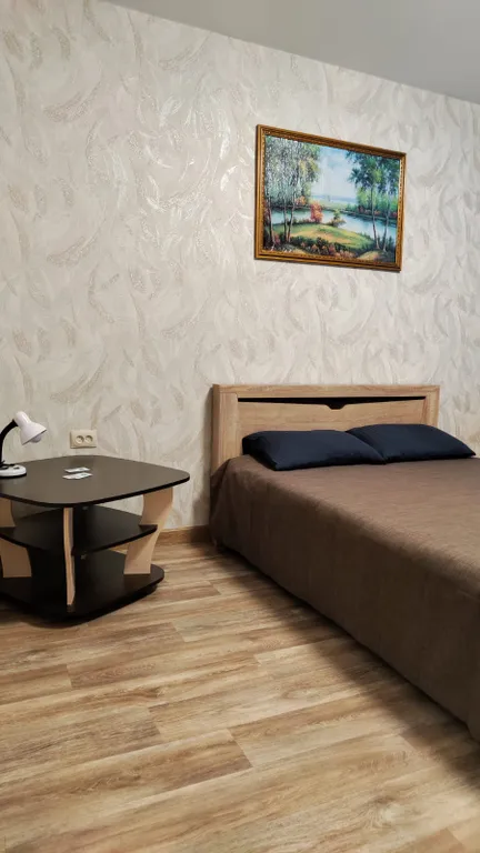 Уютная солнечная квартира в центре города — аренда посуточно в Белокуриха