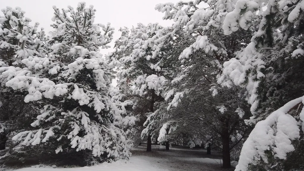 Уютный Таунхаус Хитрый лис