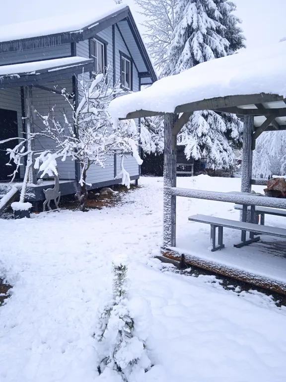 Уютный новый дом рядом с озером и рекой, баня бесплатно