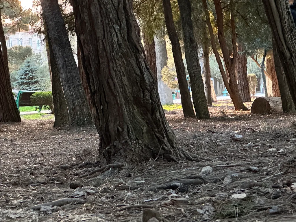 Квартира Уютная квартира у моря — Каспийск