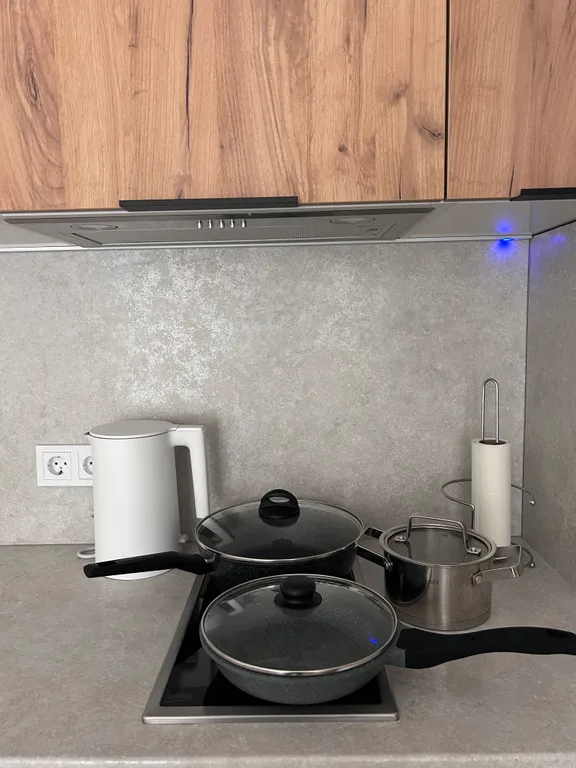 Квартира Уютная квартира недалеко от моря и озера — Светлогорск