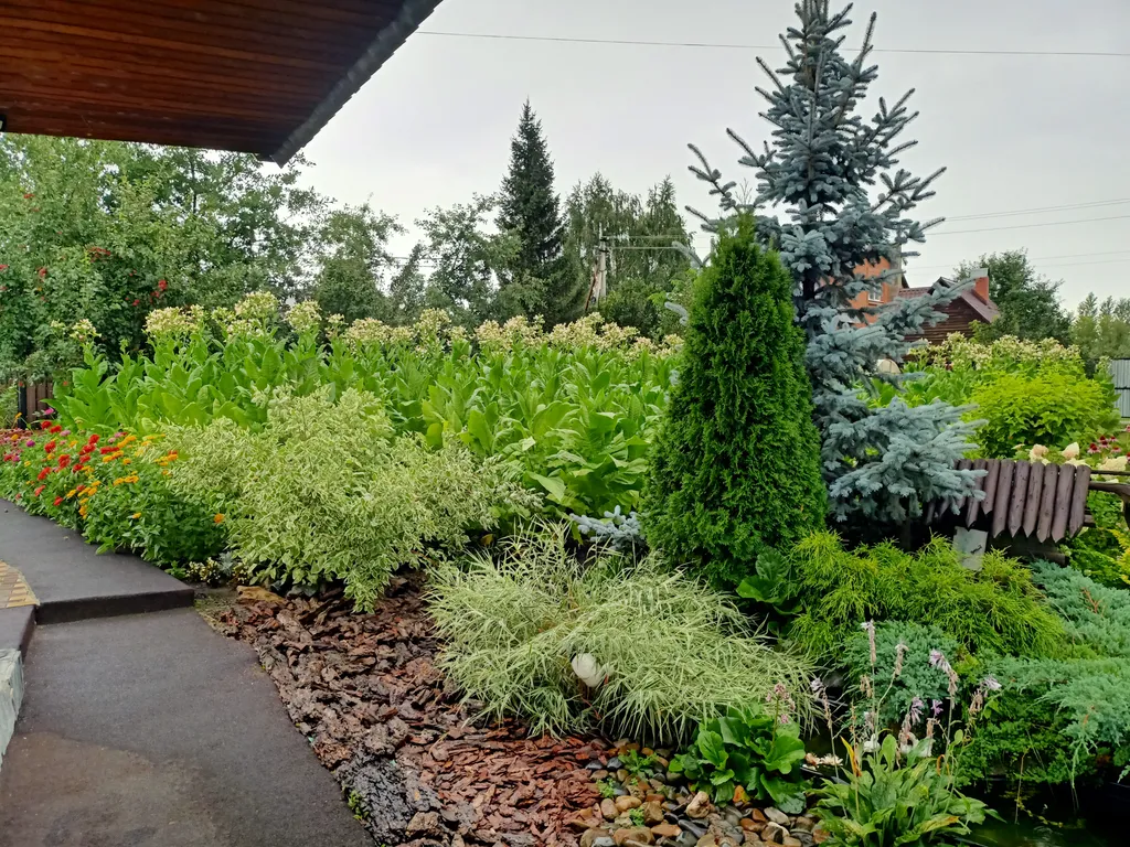 Уютный гостевой эко-дом Sova