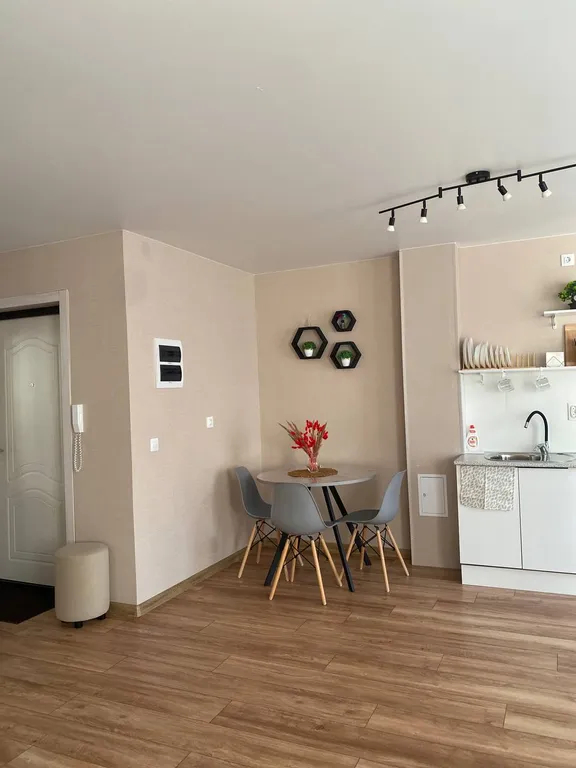 Уютная студия в центре зшк