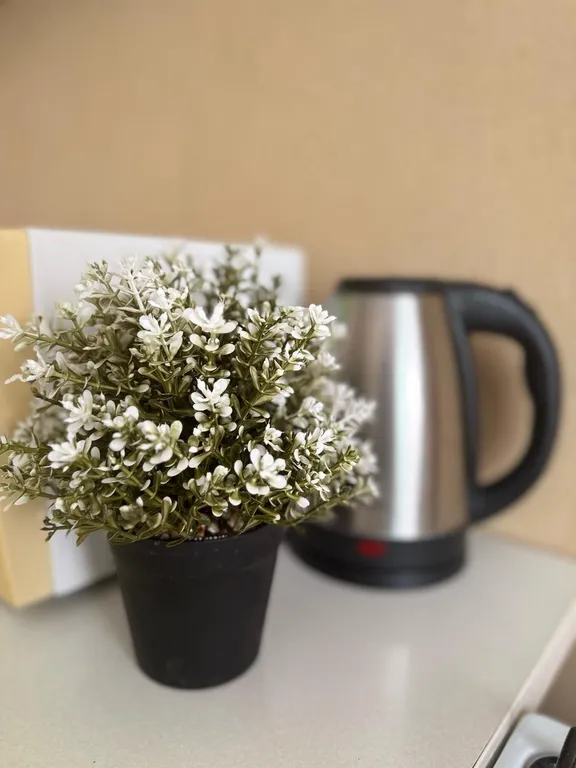 Лучшее предложение в новом доме