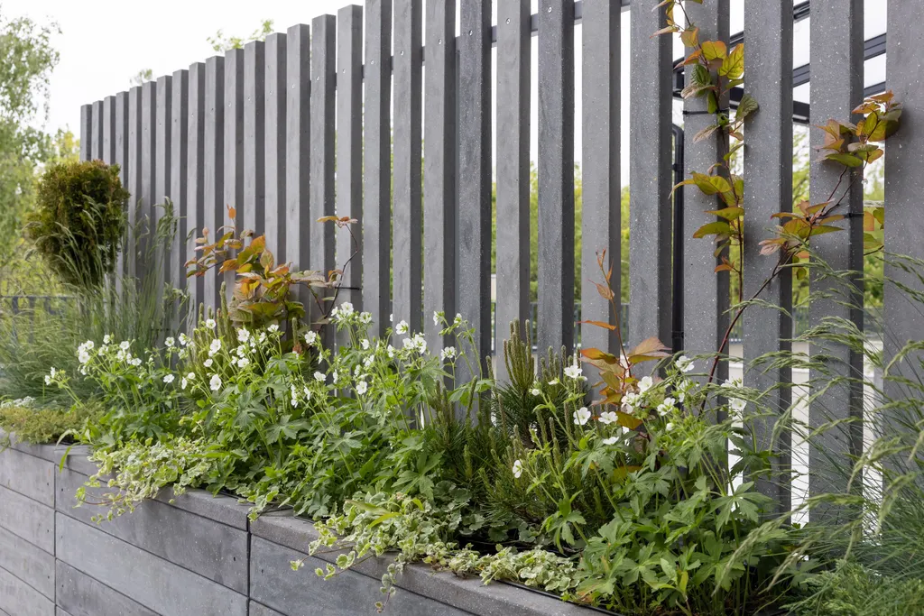 Квартира Апартаменты Malina Baden Terrace — Светлогорск