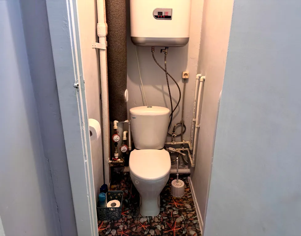 Фисташка в Хибинах