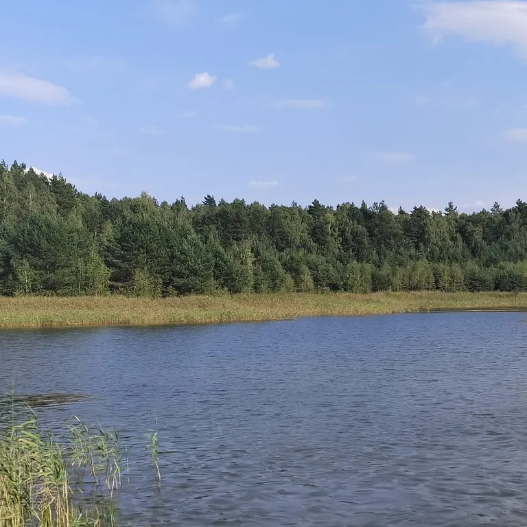 Отдых на территории гпу Беловежская пуща