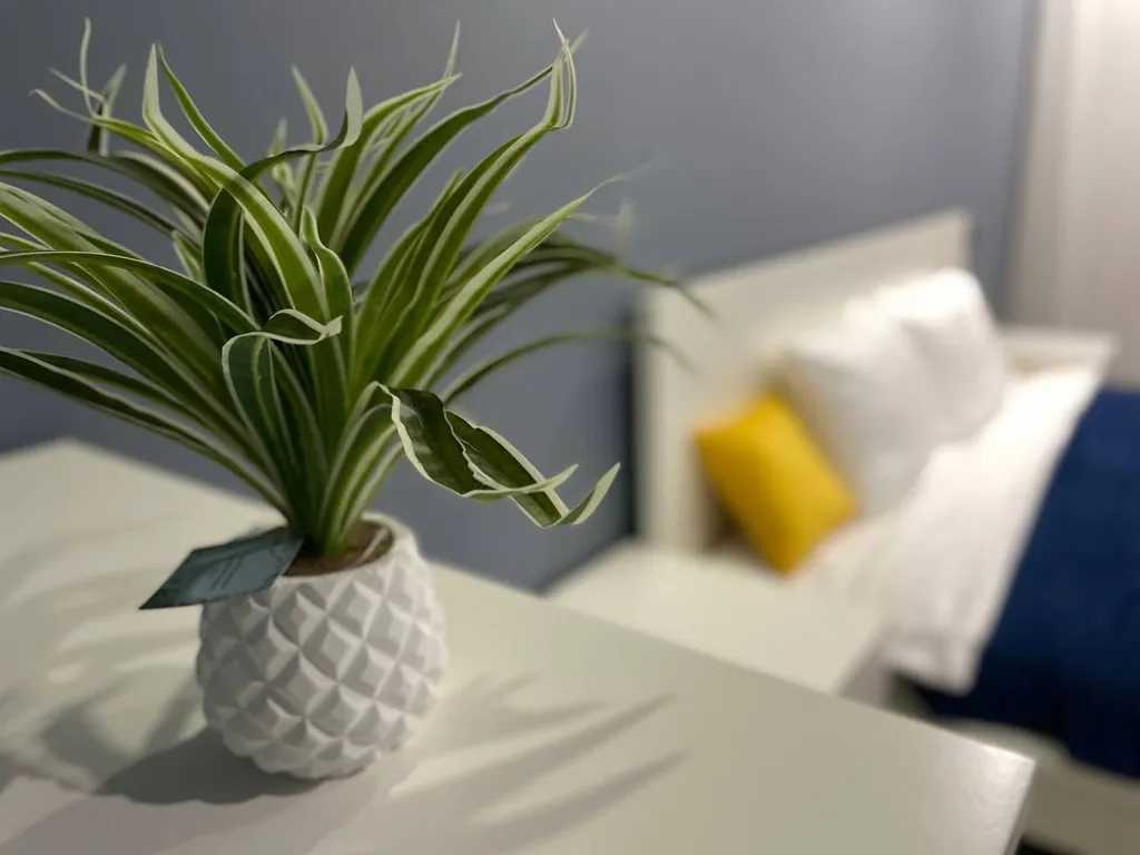 Просторная евродвушка с дизайнерским ремонтом