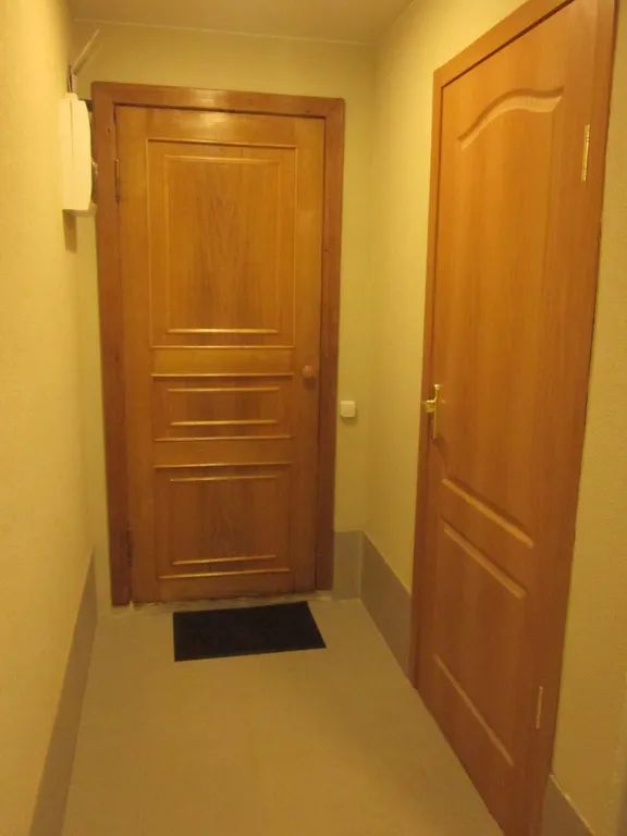 Квартира Квартира Студия в тихом районе города — Санкт-Петербург