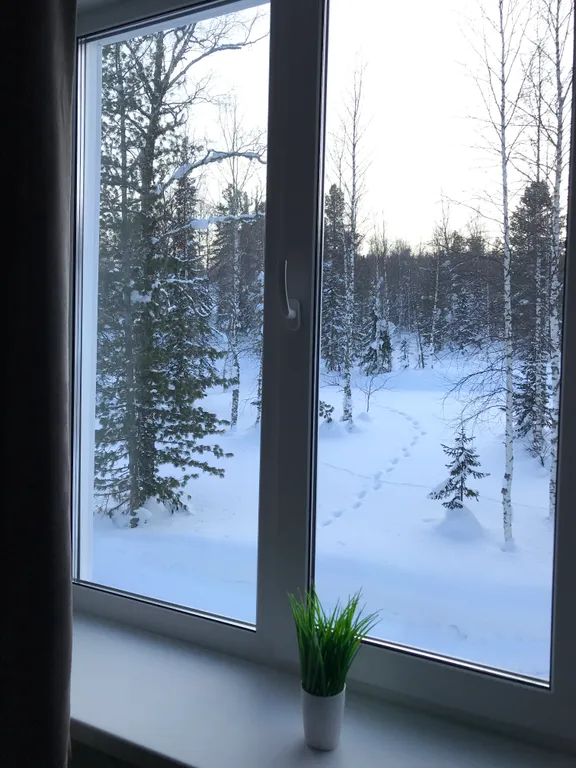 Уютные двухместные апартаменты