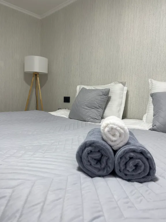 Шикарные апартаменты в центре