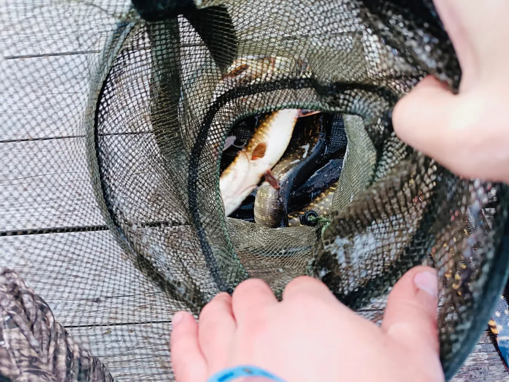 Коттедж 2-комнатный Дом — Жегалово