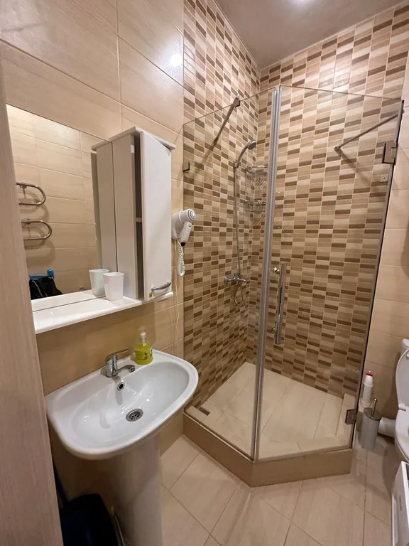 Квартира 1-комнатная Квартира — Сириус