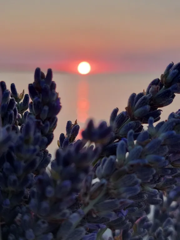 Квартира Квартира Наедине с морем... — Севастополь