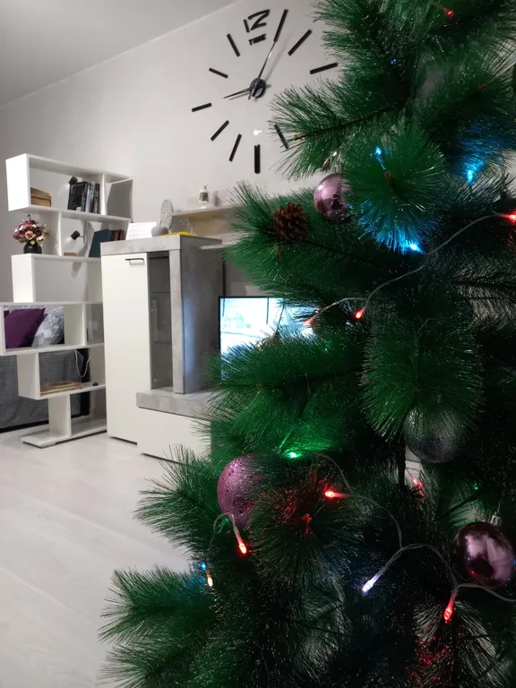 Новая квартира в тихом и живописном месте в 5 минутах от центра