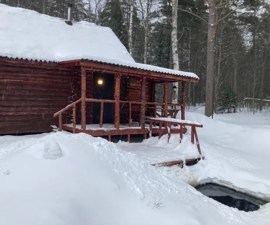 Коттедж Уютный домик №2 в лесу с двухъярусной кроватью — Кутузовское