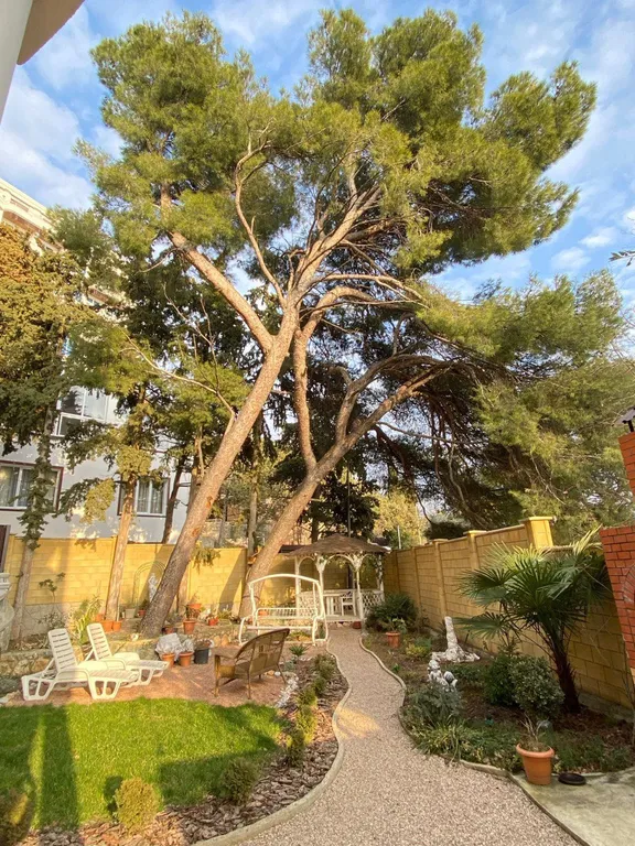 Верхний этаж дома с панорамным видом на море