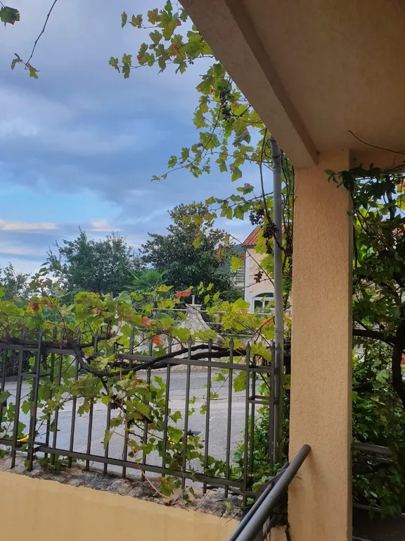 Бечичи Сансет