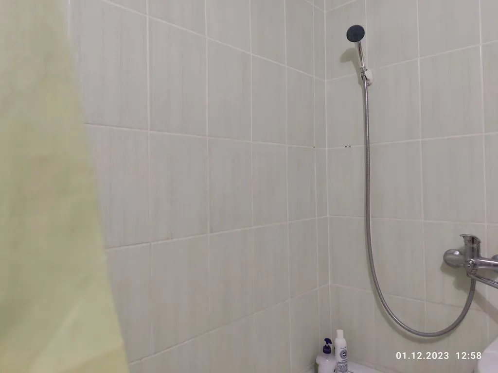 Апартаменты в гостях у Лилии