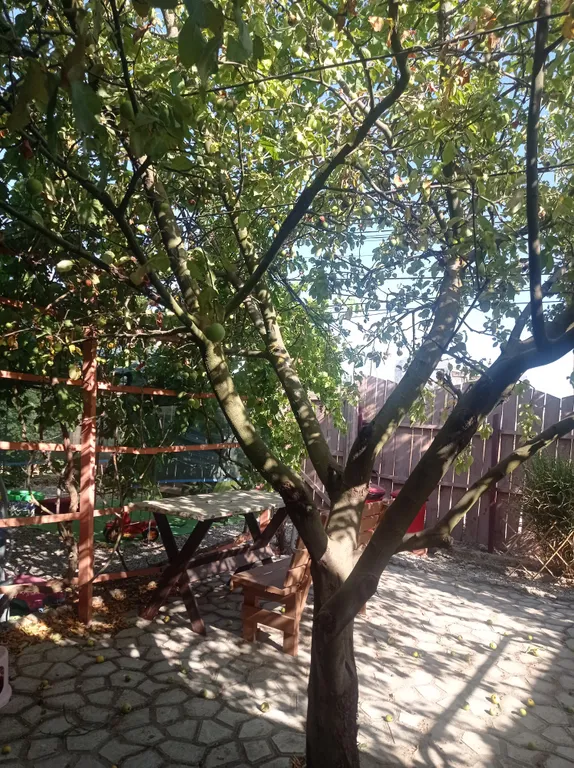 Квартира Комната — Витино