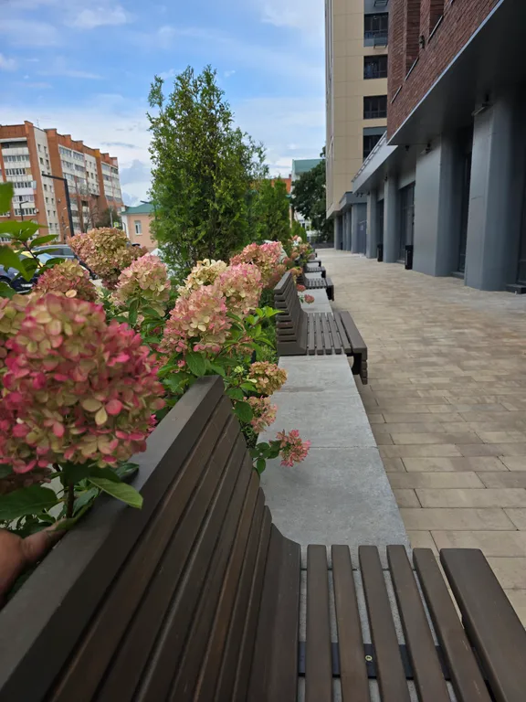 Новая евродвушка в центре